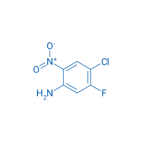 4-Chloro-5-fluoro-2-nitroaniline 5g