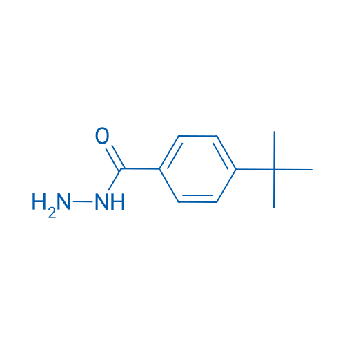 4-(tert-Butyl)benzohydrazide 500g