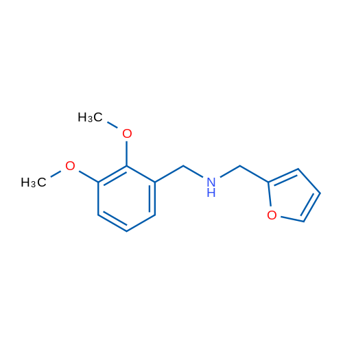 N-(2,3-Dimethoxybenzyl)-1-(furan-2-yl)methanamine 1g