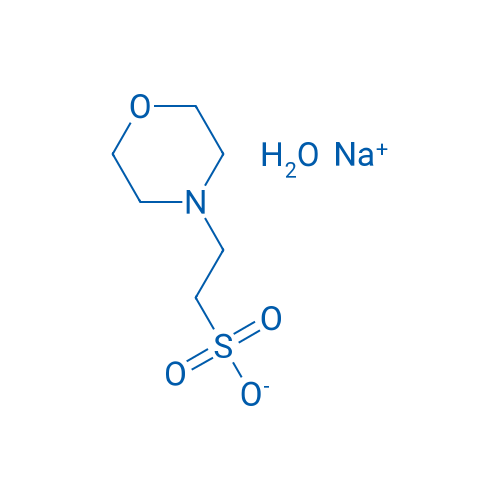 Sodium 2-Morpholinoethanesulfonate Monohydrate 5g