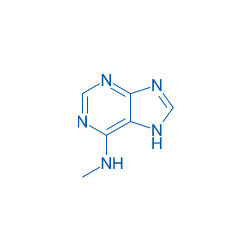 N6-Methyladenine 100mg