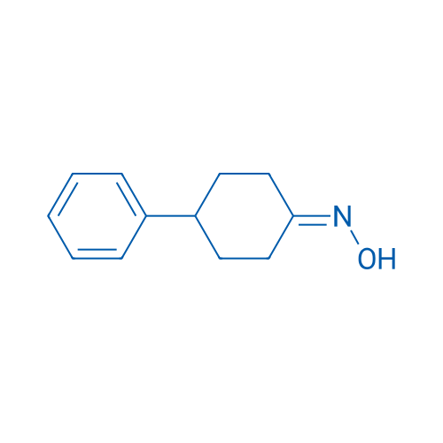 4-Phenylcyclohexanone oxime 1g