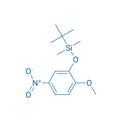 tert-Butyl(2-methoxy-5-nitrophenoxy)dimethylsilane 1g