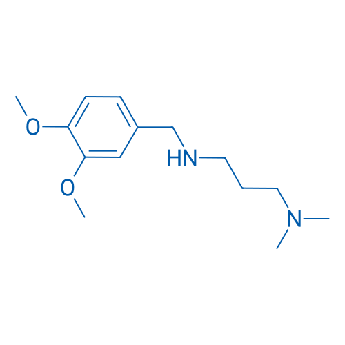 N1-(3,4-Dimethoxybenzyl)-N3,N3-dimethylpropane-1,3-diamine 250mg