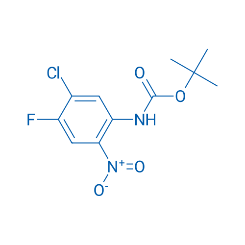 tert-Butyl (5-chloro-4-fluoro-2-nitrophenyl)carbamate 5g