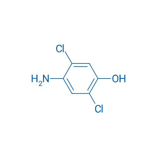4-Amino-2,5-dichlorophenol 10g