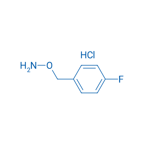 O-(4-Fluorobenzyl)hydroxylamine hydrochloride 100g