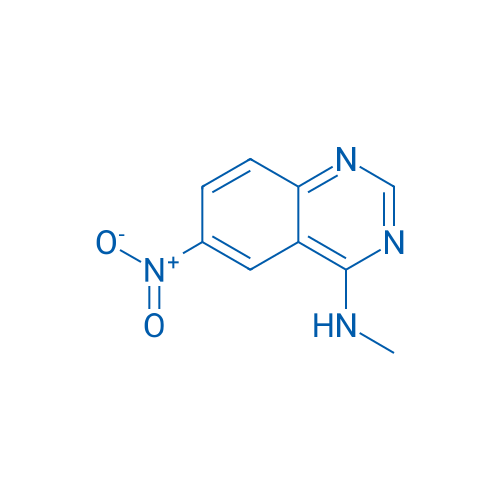 N-Methyl-6-nitroquinazolin-4-amine 1g
