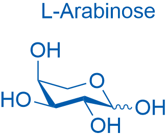 L-(+)-Arabinose 25g