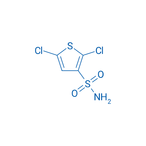 2,5-Dichlorothiophene-3-sulfonamide 250mg