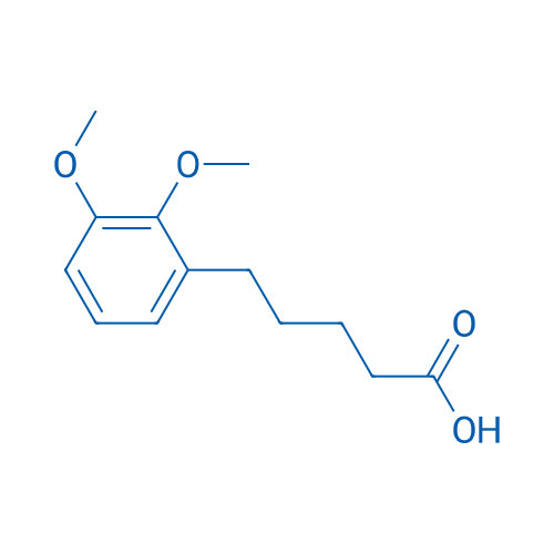 5-(2,3-Dimethoxyphenyl)pentanoic acid 1g