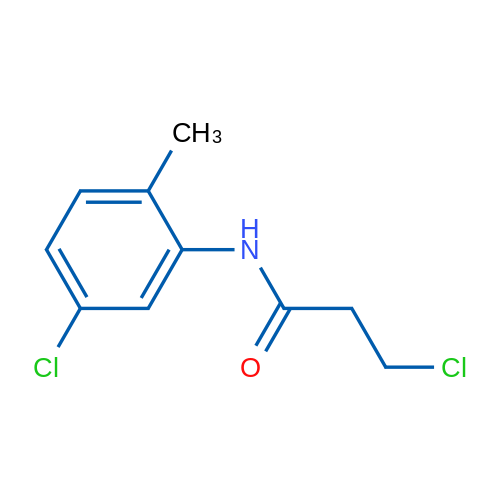 3-Chloro-N-(5-chloro-2-methylphenyl)propanamide 5g
