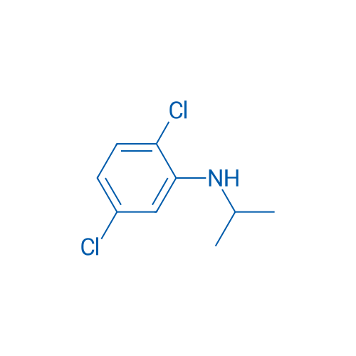 2,5-Dichloro-N-(propan-2-yl)aniline 1g