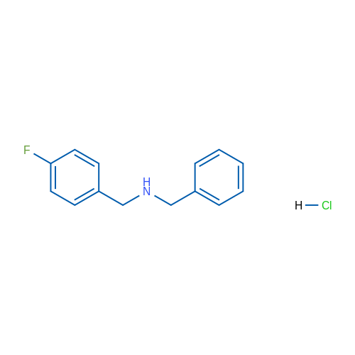 N-Benzyl-1-(4-fluorophenyl)methanamine hydrochloride 1g