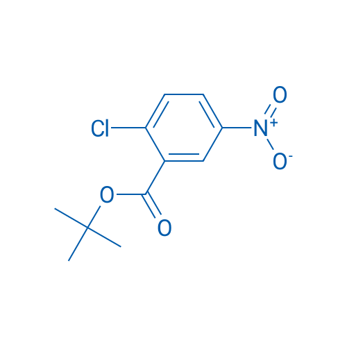 tert-Butyl 2-chloro-5-nitrobenzoate 250mg