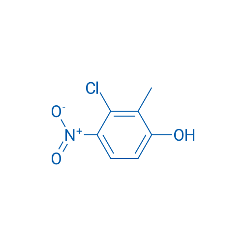 3-Chloro-2-methyl-4-nitrophenol 1g