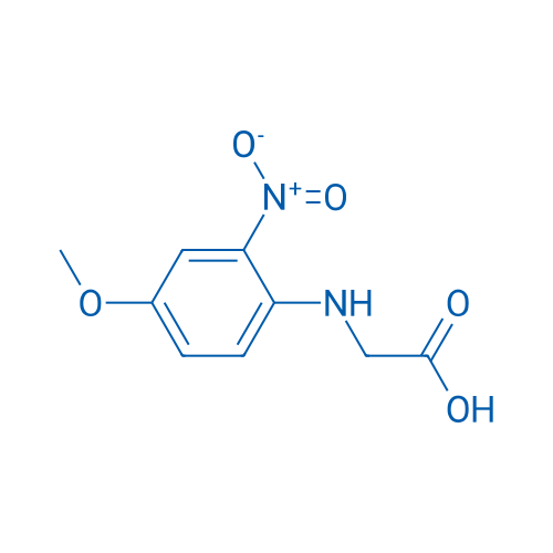 2-((4-Methoxy-2-nitrophenyl)amino)acetic acid 1g