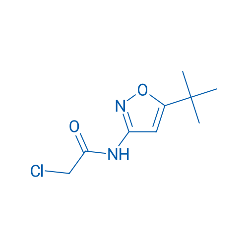 N-(5-(tert-Butyl)isoxazol-3-yl)-2-chloroacetamide 1g