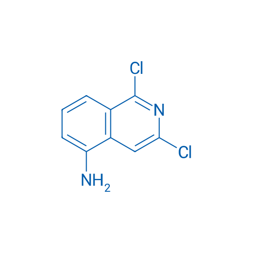 1,3-Dichloroisoquinolin-5-amine 250mg