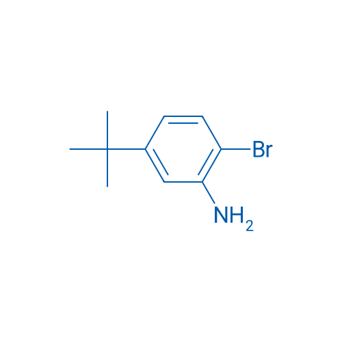 2-Bromo-5-(tert-butyl)aniline 500g