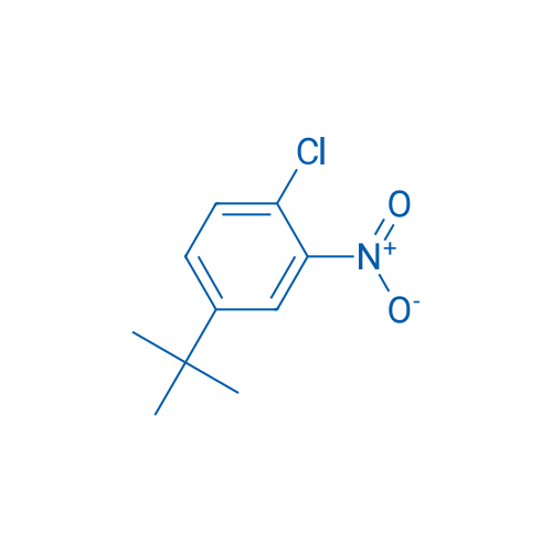 4-(tert-Butyl)-1-chloro-2-nitrobenzene 25g
