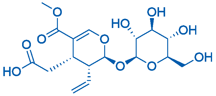 Secoxyloganin 10mg