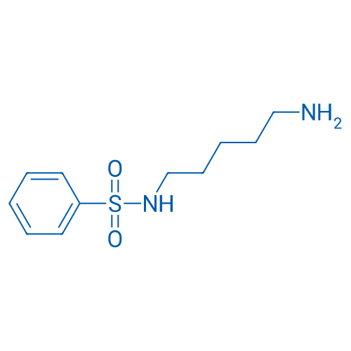 N-(5-Aminopentyl)benzenesulfonamide 1g