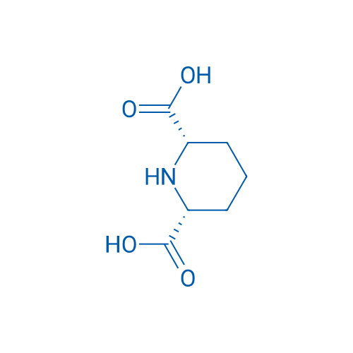 Cis-piperidine-2,6-dicarboxylic acid 250mg