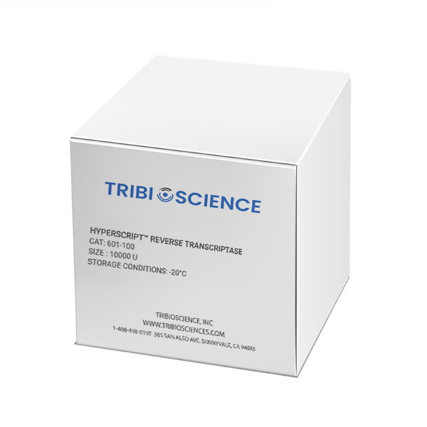 HyperScript™ Reverse Transcriptase