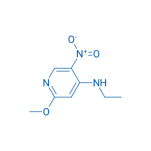 N-Ethyl-2-methoxy-5-nitropyridin-4-amine 1g