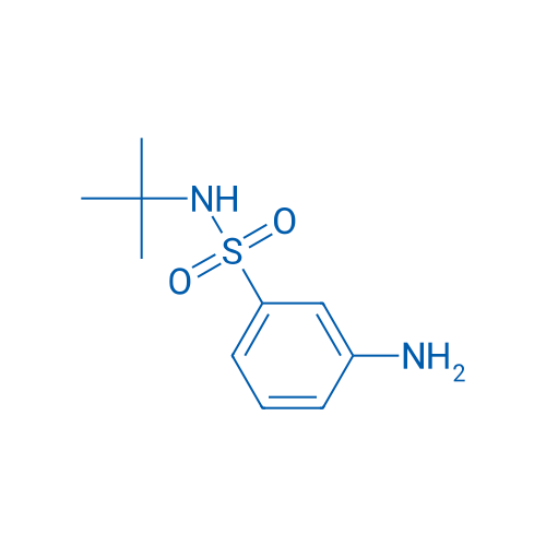 N-tert-Butyl 3-Aminophenylsulfonamide 25g