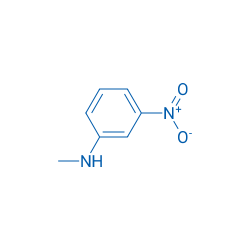 N-Methyl-3-nitroaniline 1g