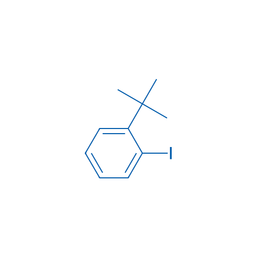 1-(tert-Butyl)-2-iodobenzene 1g