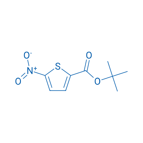tert-Butyl 5-nitrothiophene-2-carboxylate 100mg