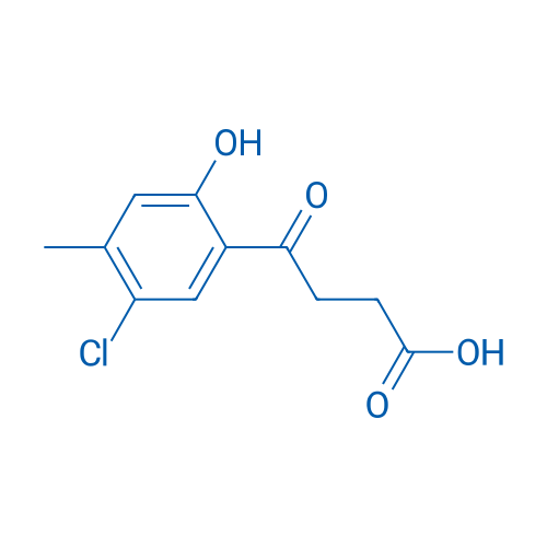 4-(5-Chloro-2-hydroxy-4-methylphenyl)-4-oxobutanoic acid 1g