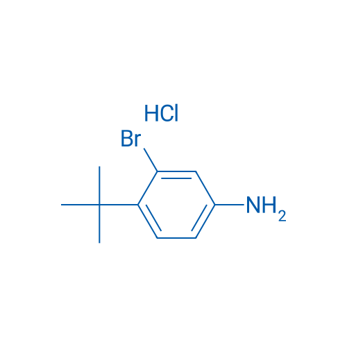 3-Bromo-4-(tert-butyl)aniline hydrochloride 5g