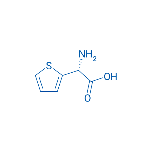 H-α-(2-Thienyl)-Gly-OH 5g