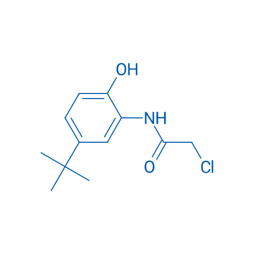 N-(5-(tert-Butyl)-2-hydroxyphenyl)-2-chloroacetamide 1g