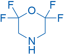 2,2,6,6-Tetrafluoromorpholine 100mg