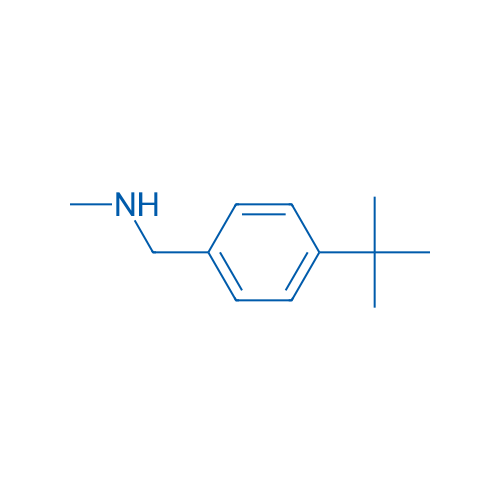 1-(4-(tert-Butyl)phenyl)-N-methylmethanamine 1g