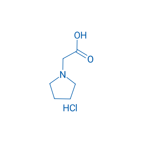 2-(Pyrrolidin-1-yl)acetic acid hydrochloride 1g