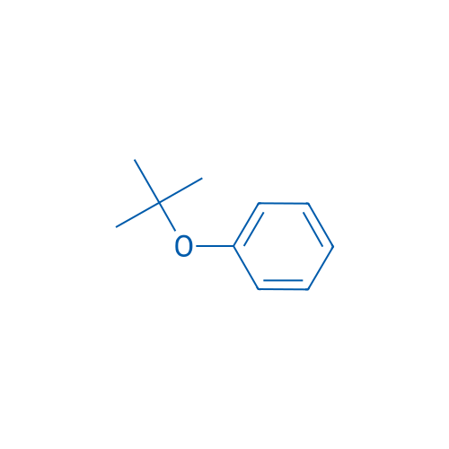 tert-Butoxybenzene 250mg