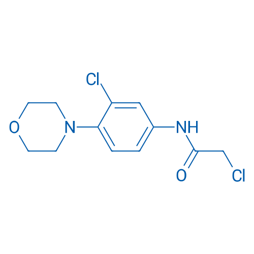 2-Chloro-N-(3-chloro-4-morpholinophenyl)acetamide 1g