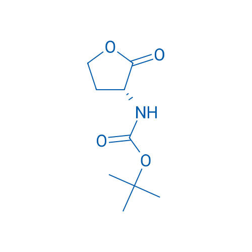 Boc-D-Homoserine lactone 5g