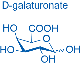 D-Galacturonic acid 250mg