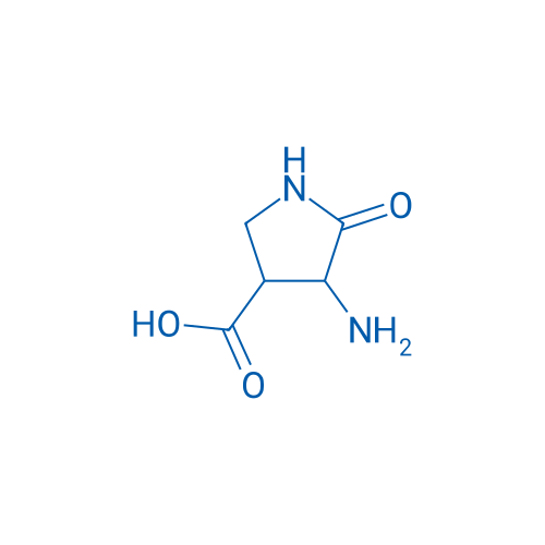 4-Amino-5-oxopyrrolidine-3-carboxylic acid 1g