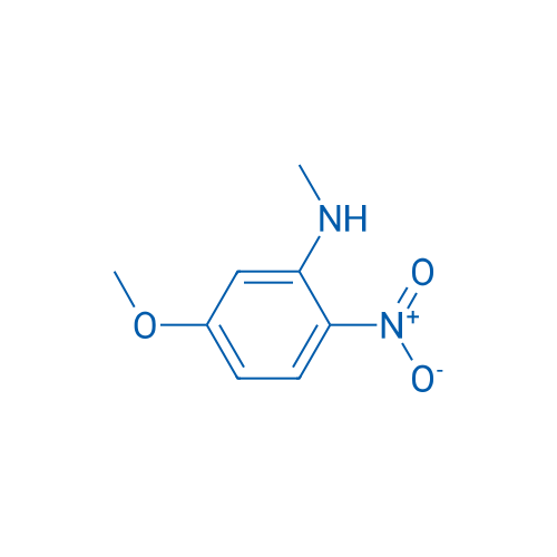 5-Methoxy-N-methyl-2-nitroaniline 1g