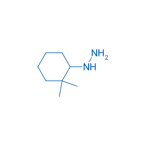 (2,2-Dimethylcyclohexyl)hydrazine 1g