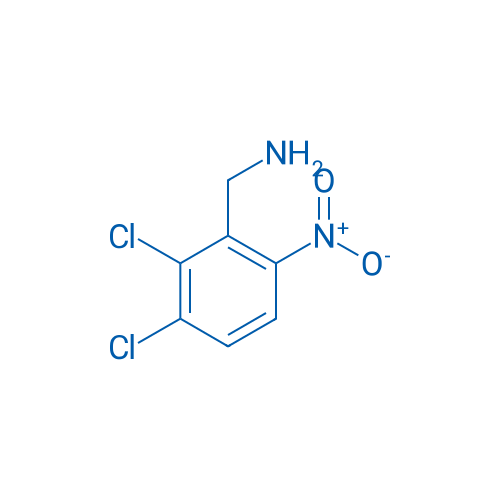 (2,3-Dichloro-6-nitrophenyl)methanamine 100mg