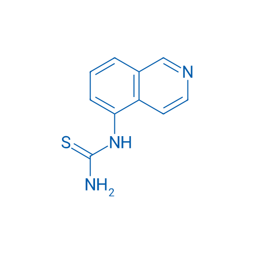 (Isoquinolin-5-yl)thiourea 1g